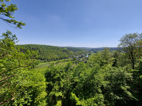 Forêt réserve naturelle Semois