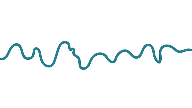 SEMOIS HORIZONTAL Parc national Belgique