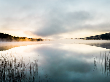 fog lake.png