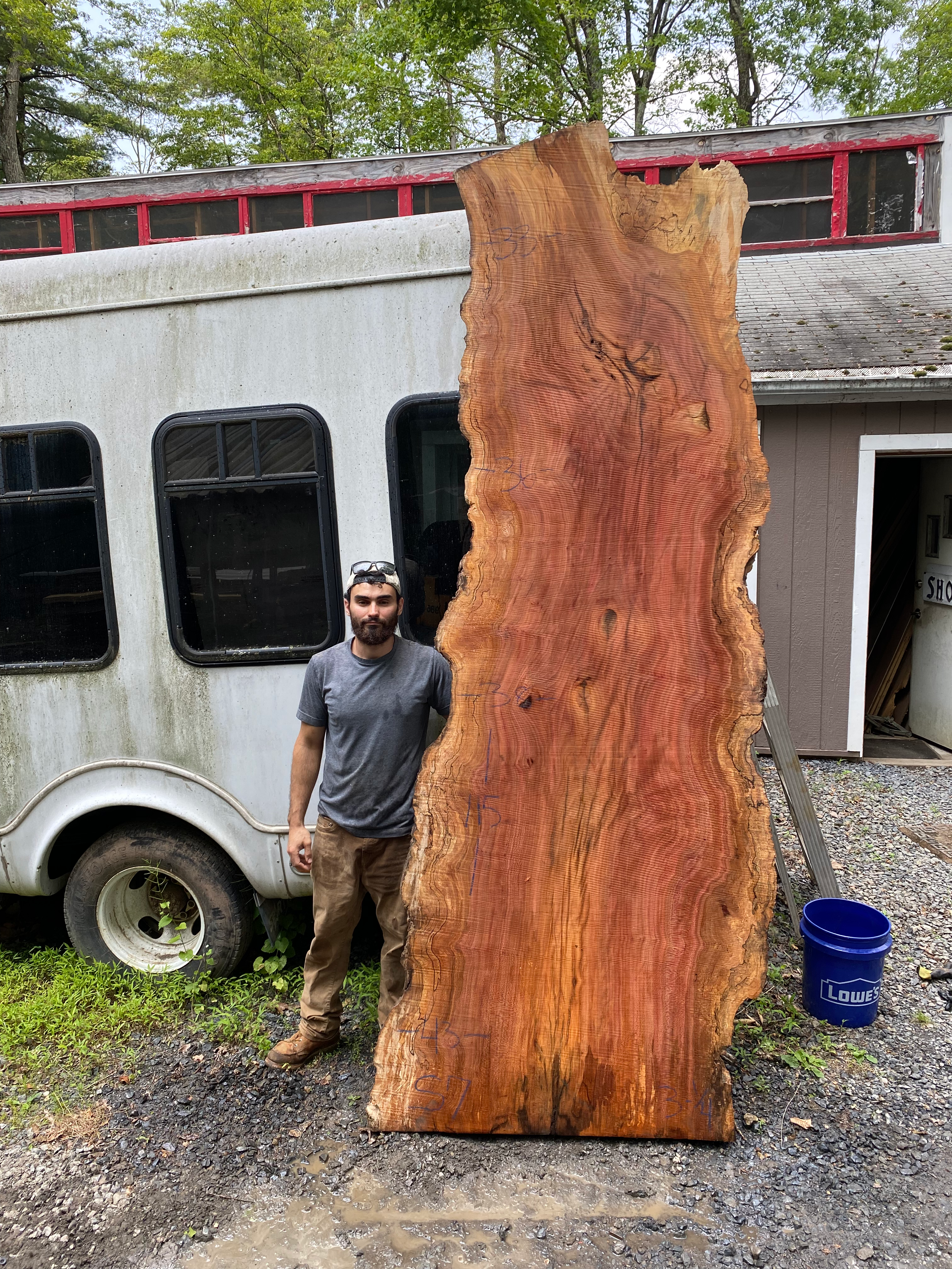 Burly Sycamore Slab
