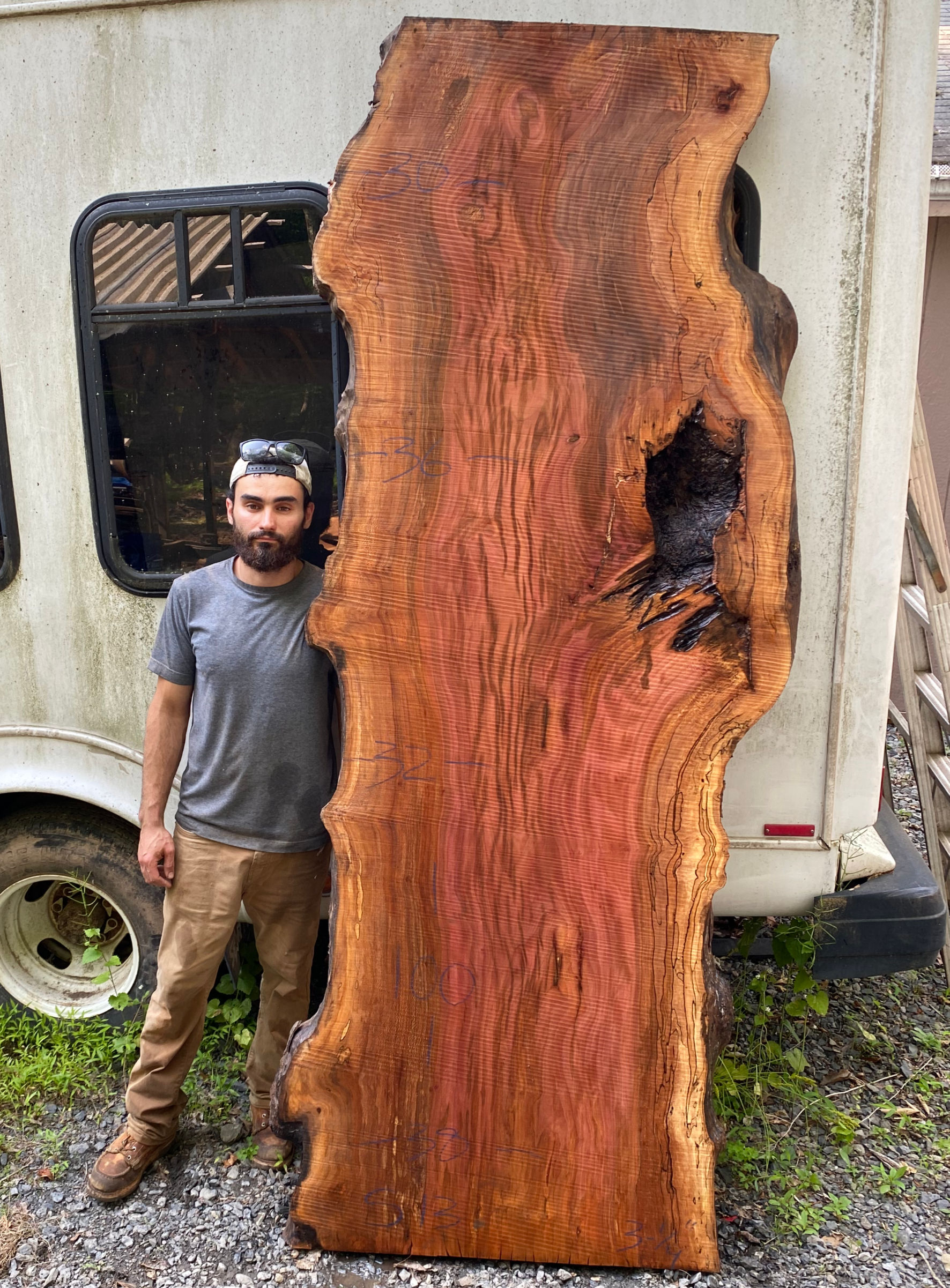Burly Sycamore Slab