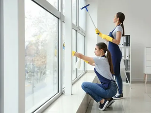 Window Cleaning Services