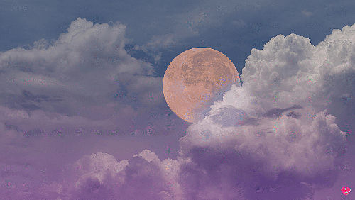 The Magic of Manifesting Workshop