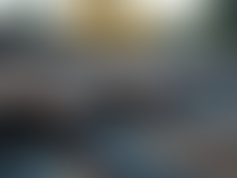 Understanding the Value of Roof Inspection Reports