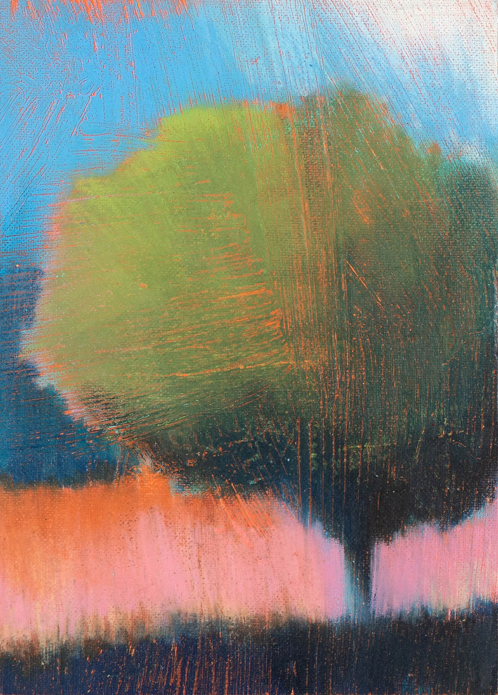 ÉDITION LIMITÉE - Toile N°45 + le livre