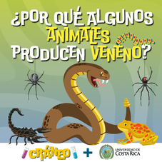 “Por qué algunos animales producen veneno" con la Universidad de Costa Rica. Serpiente, arañas, escorpión, rana colorida y oruga en un divertido estilo gráfico para niños