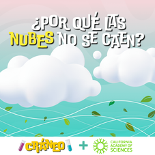 “Por qué las nubes no se caen" junto a California Academy of Sciences. Nubes esponjosas y hojas flotando en un estilo suave y colorido.