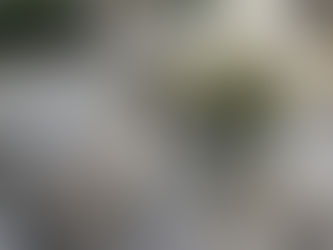 Afternoon Tea in the Orchid Conservatory at the Majestic Hotel, Kuala Lumpur, Malaysia