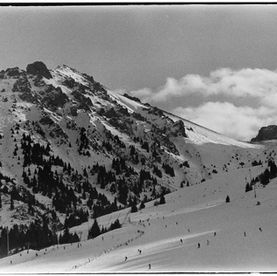 Family Offices – An Overview