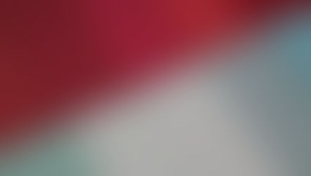 Asset-Deal vs. Share-Deal, Vergleich, Stoffe