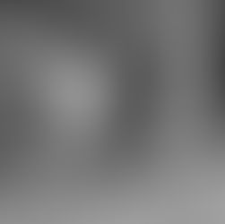 Fencing, Duel, Shareholders' Dispute