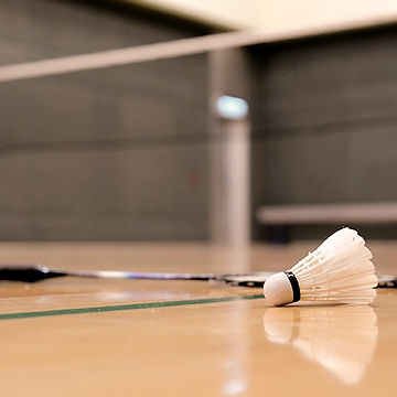 Shuttlecock and Badminton Racket_edited.jpg