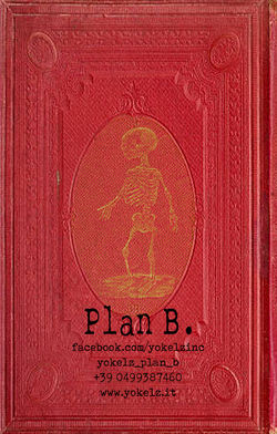 copertina dietro