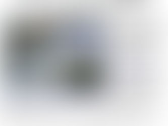 A Dog's Porpoise - Online Book Club