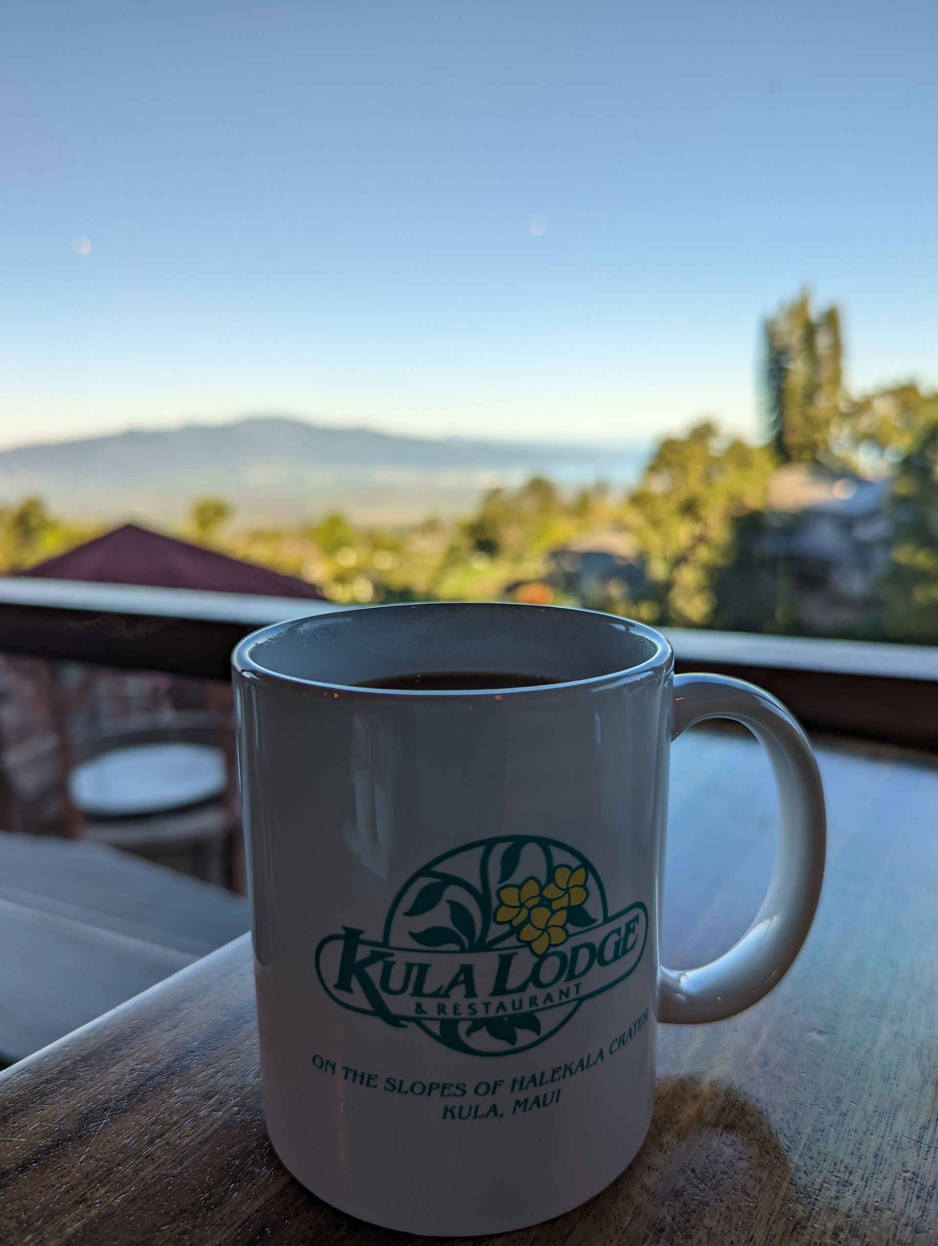 Coffee at Kula Lodge