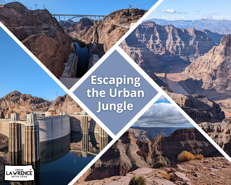 Escaping the urban jungle