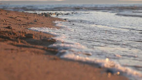 Ressentir : l'émotion au gré des vagues
