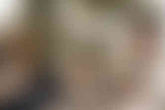 home-story-rotterdam-familie-fotografie