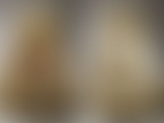 Queen Victoria’s Stuart Ball Dress