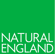 NE logo (1).png