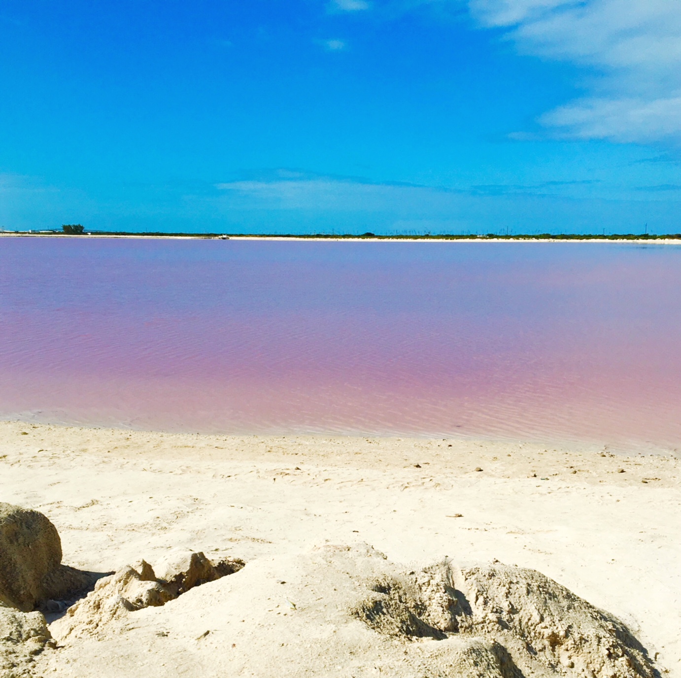 Las Coloradas, Mexico