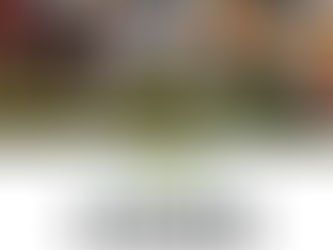 Chargers Sign Kayode Awosika