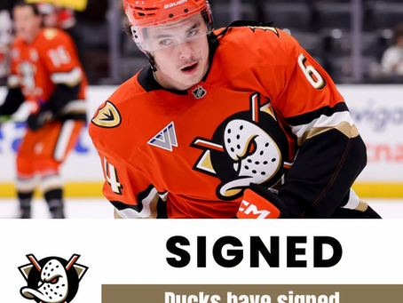 Ducks Sign Sam Colangelo