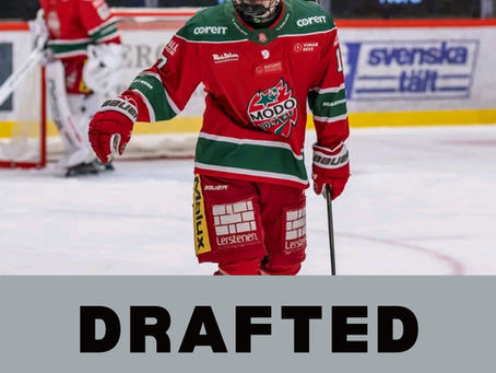 Kings Draft Elton Hermansson