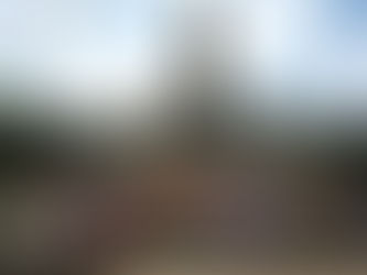 Vom Rheingau nach Europa – und darüber hinaus