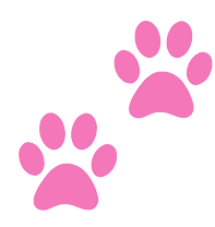 Pink paw prints