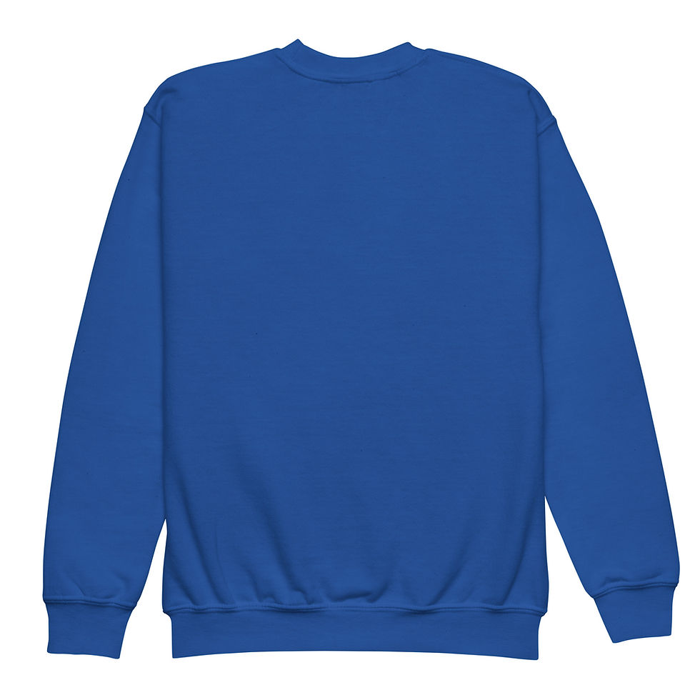 Thumbnail: PR Youth crewneck sweatshirt