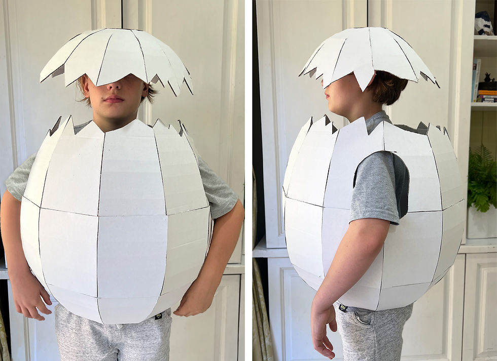 How to make a Cardboard Egg Costume