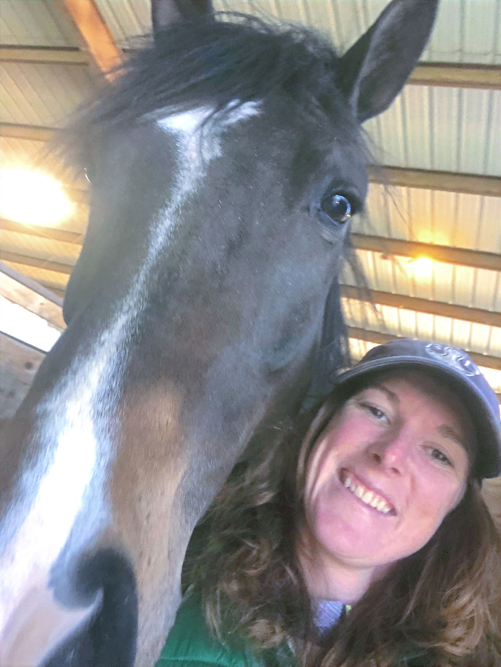 horse head with person wearing baseball hat and smiling