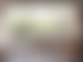 Berthold Lubetkin’s London penthouse