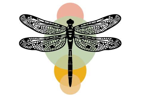 Logo neurodivergenz-uri