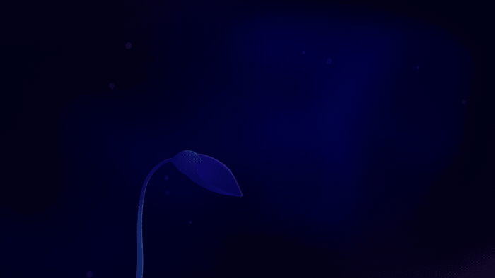 02.gif