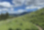 Hike Reflector Trail