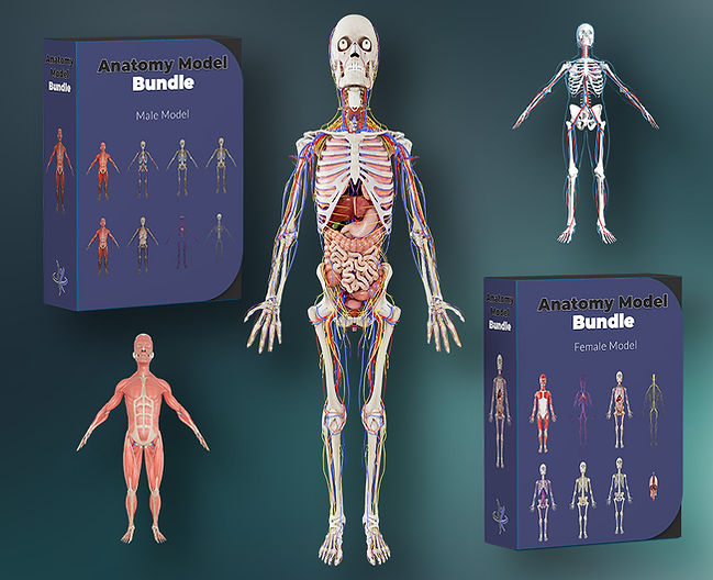 Web Page - Stock Photos 2.jpg