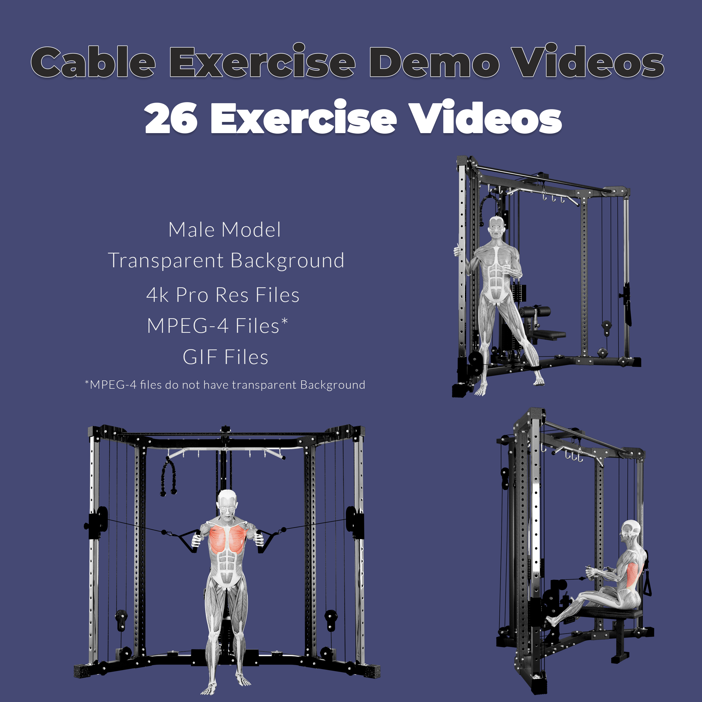 Exercise Demo Bundle - Cable Machine
