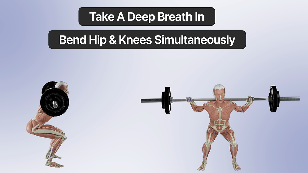 Thumbnail: Exercise Tutorial - Video Bundle