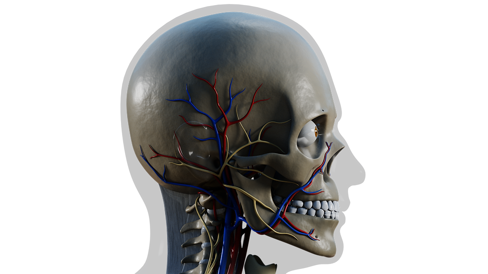 Thumbnail: Head Skeleton Rotation