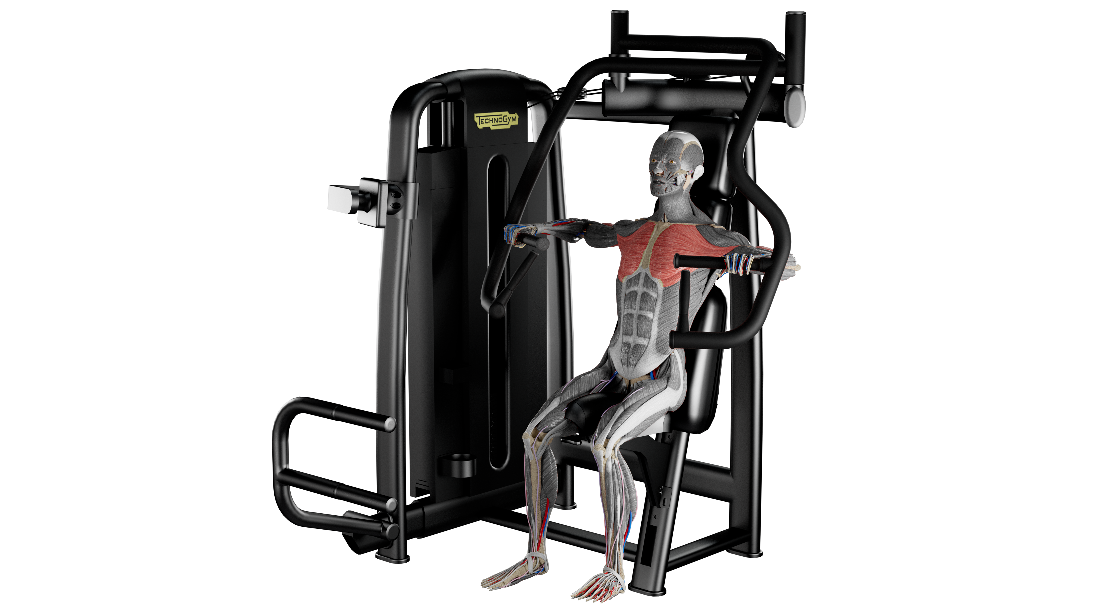 Chest Press