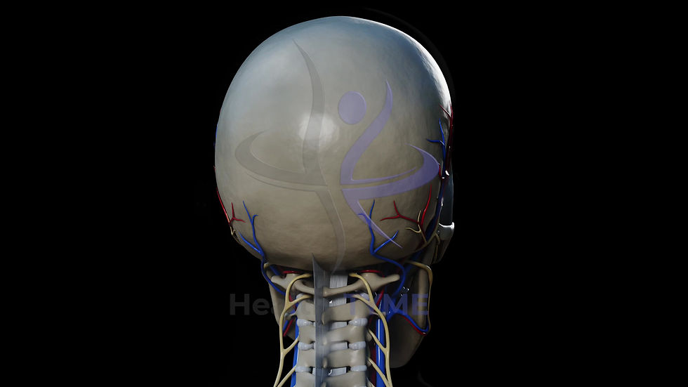 Thumbnail: Head Skeleton Rotation