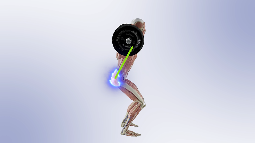 Thumbnail: Exercise Tutorial - Video Bundle