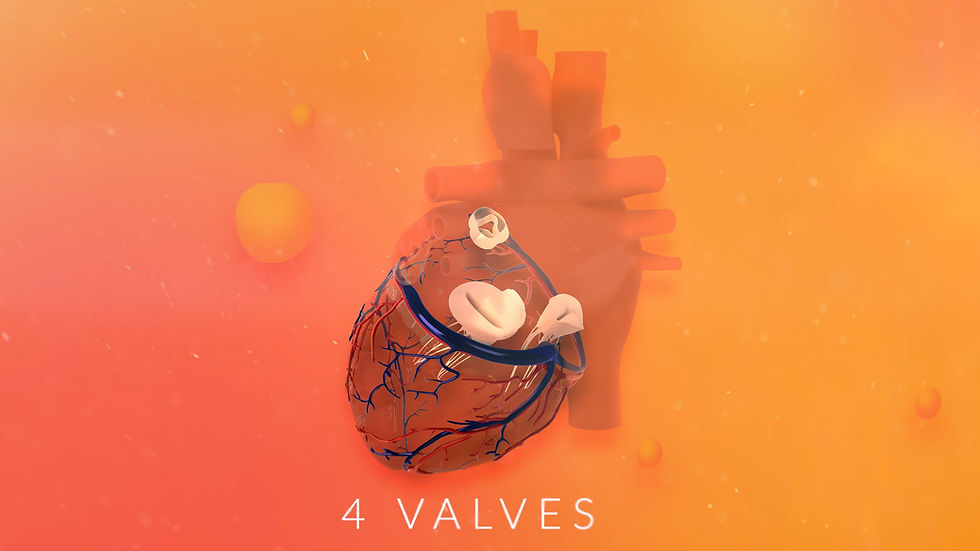 Thumbnail: Heart Animation With Illustration of Valves etc
