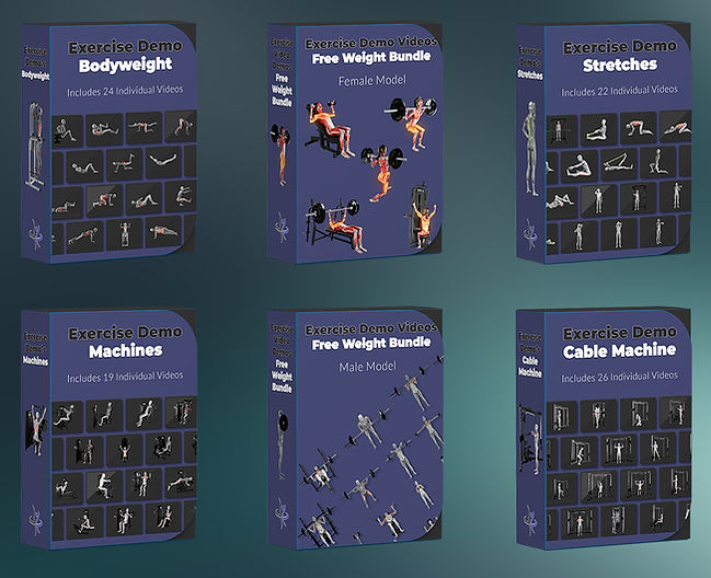 Web Page - Exercise Demo.jpg