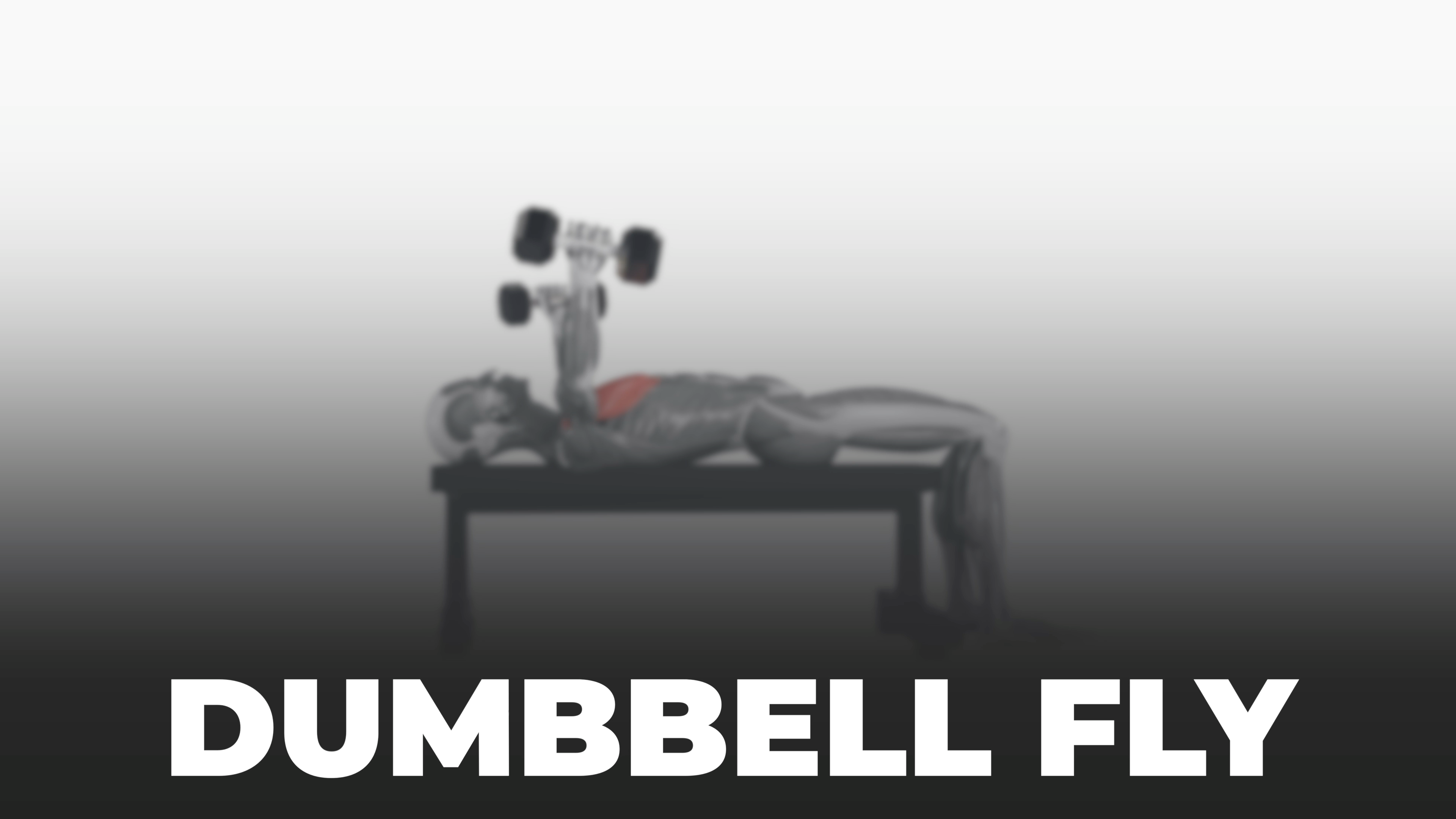 Exercise Instruction - Dumbbell Fly