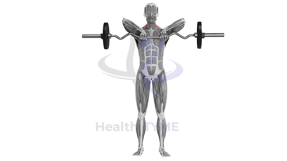 Thumbnail: Barbell Upright Row