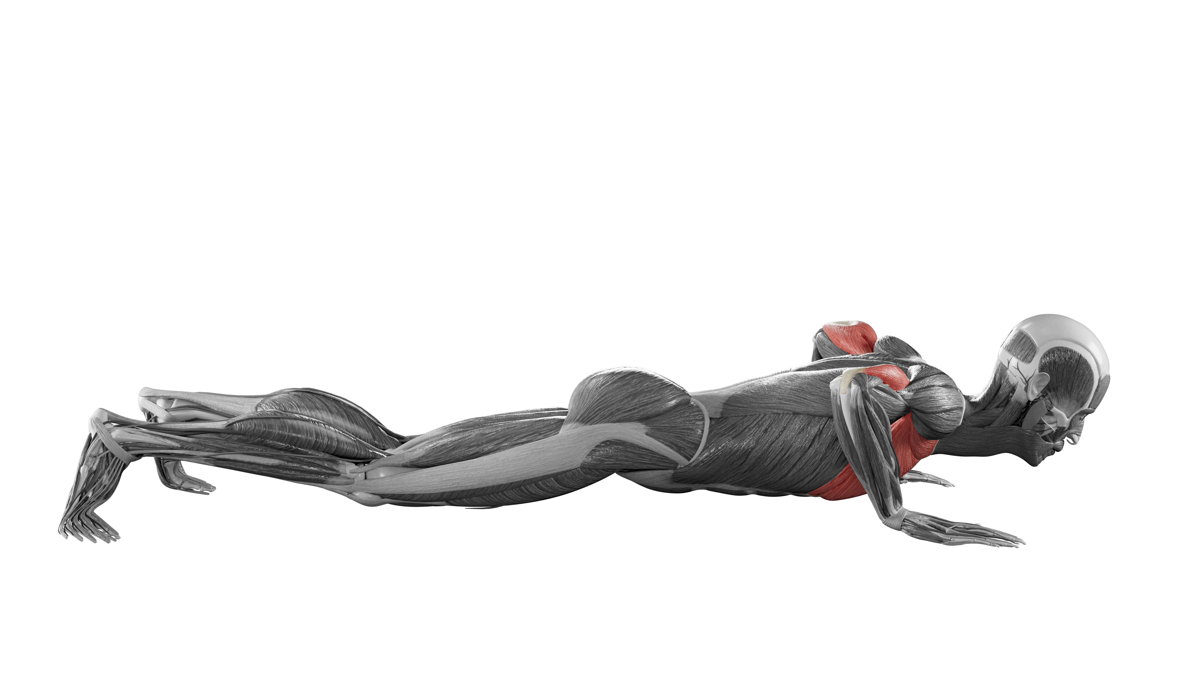 Pushups