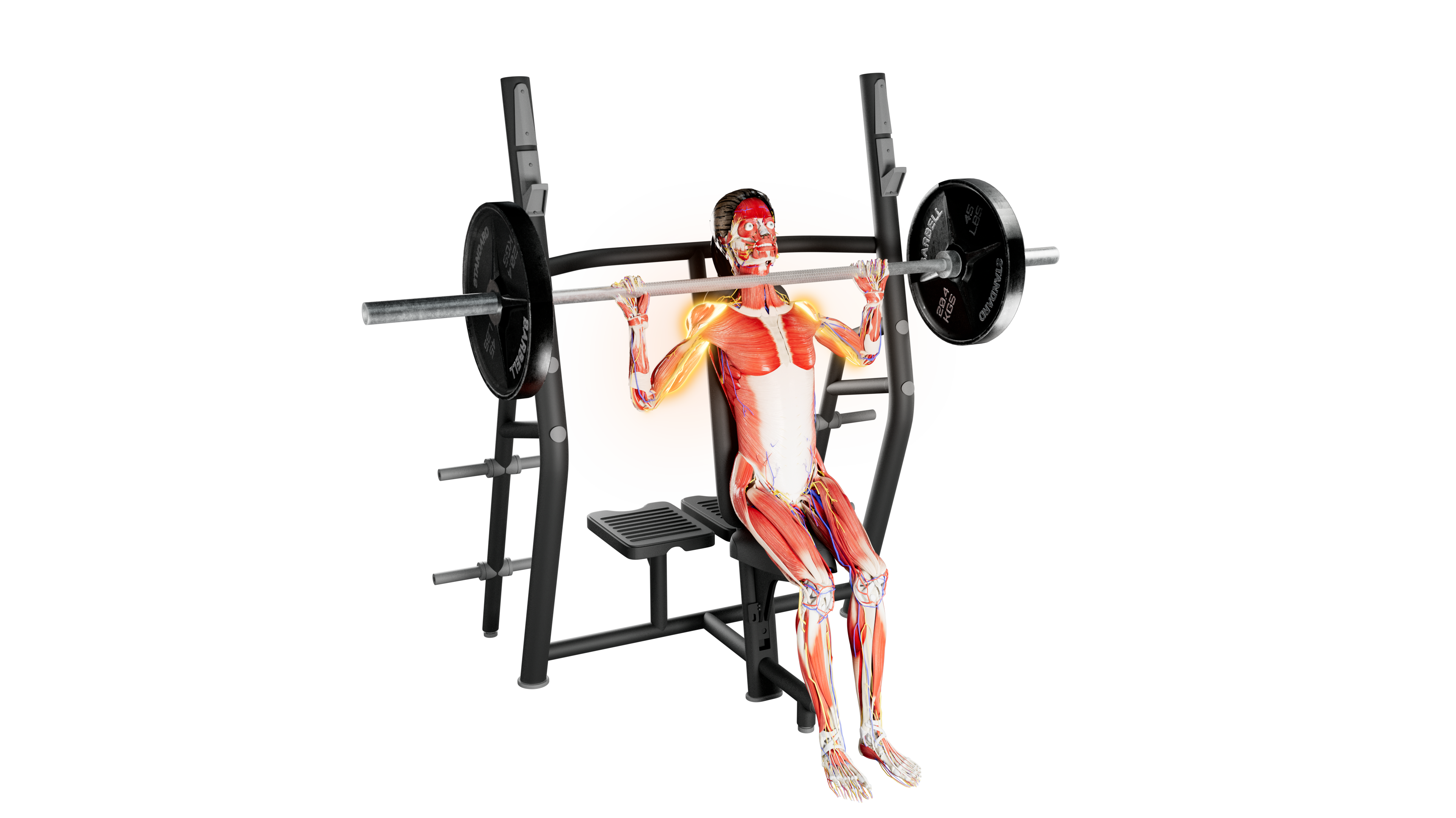 Barbell Shoulder Press